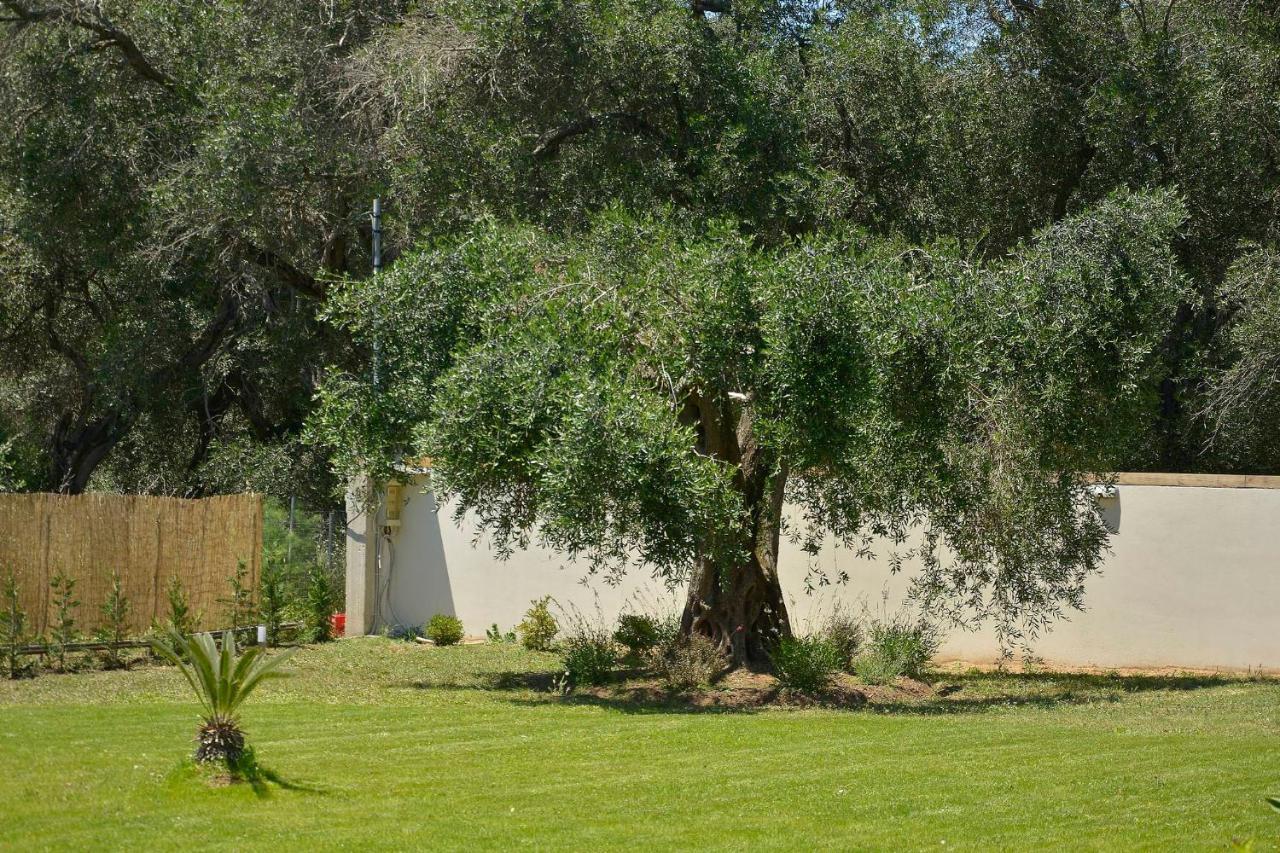 La Casa Del Sole Villa Halikounas Eksteriør bilde